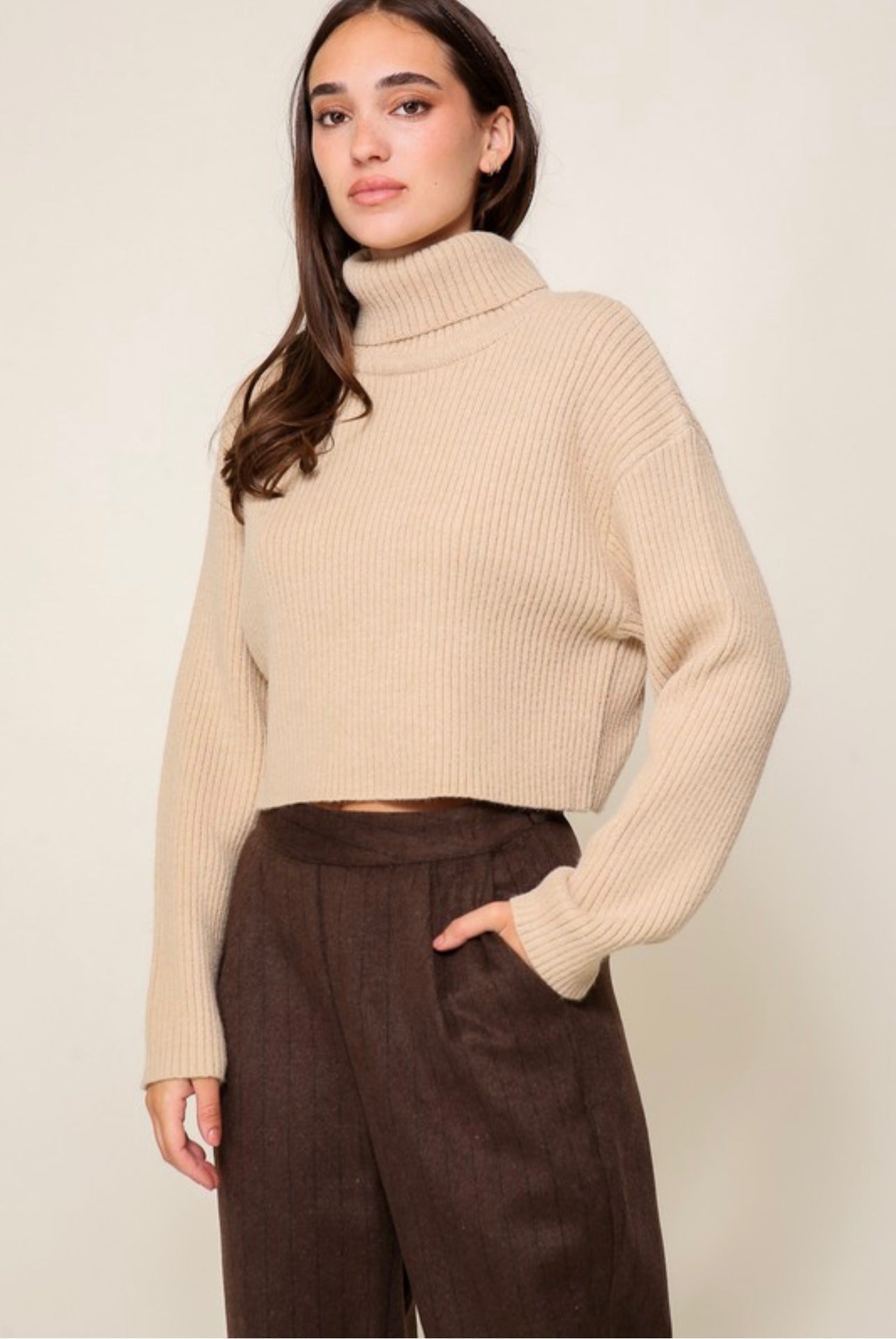 Turtle Neck Ribbed Sweater