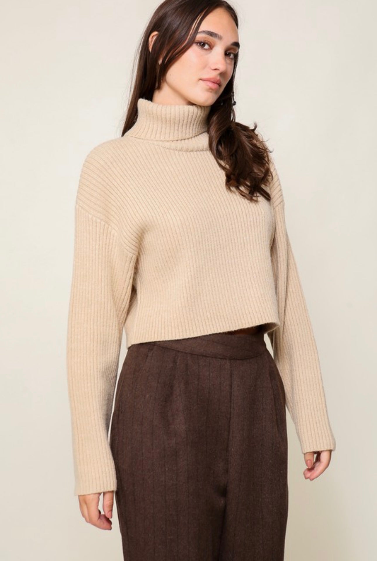Turtle Neck Ribbed Sweater