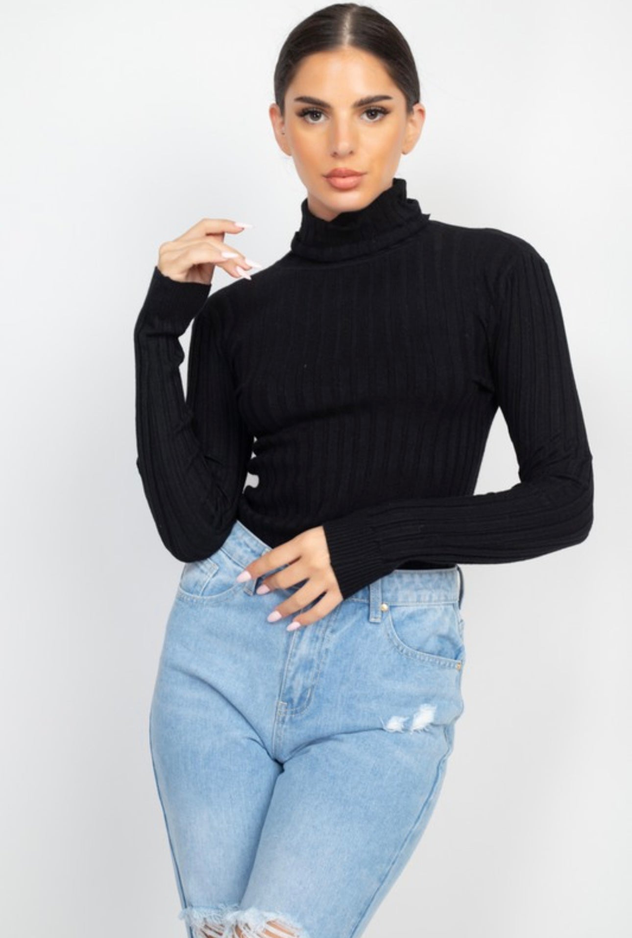 Long Sleeve Ribbed Turtle Neck