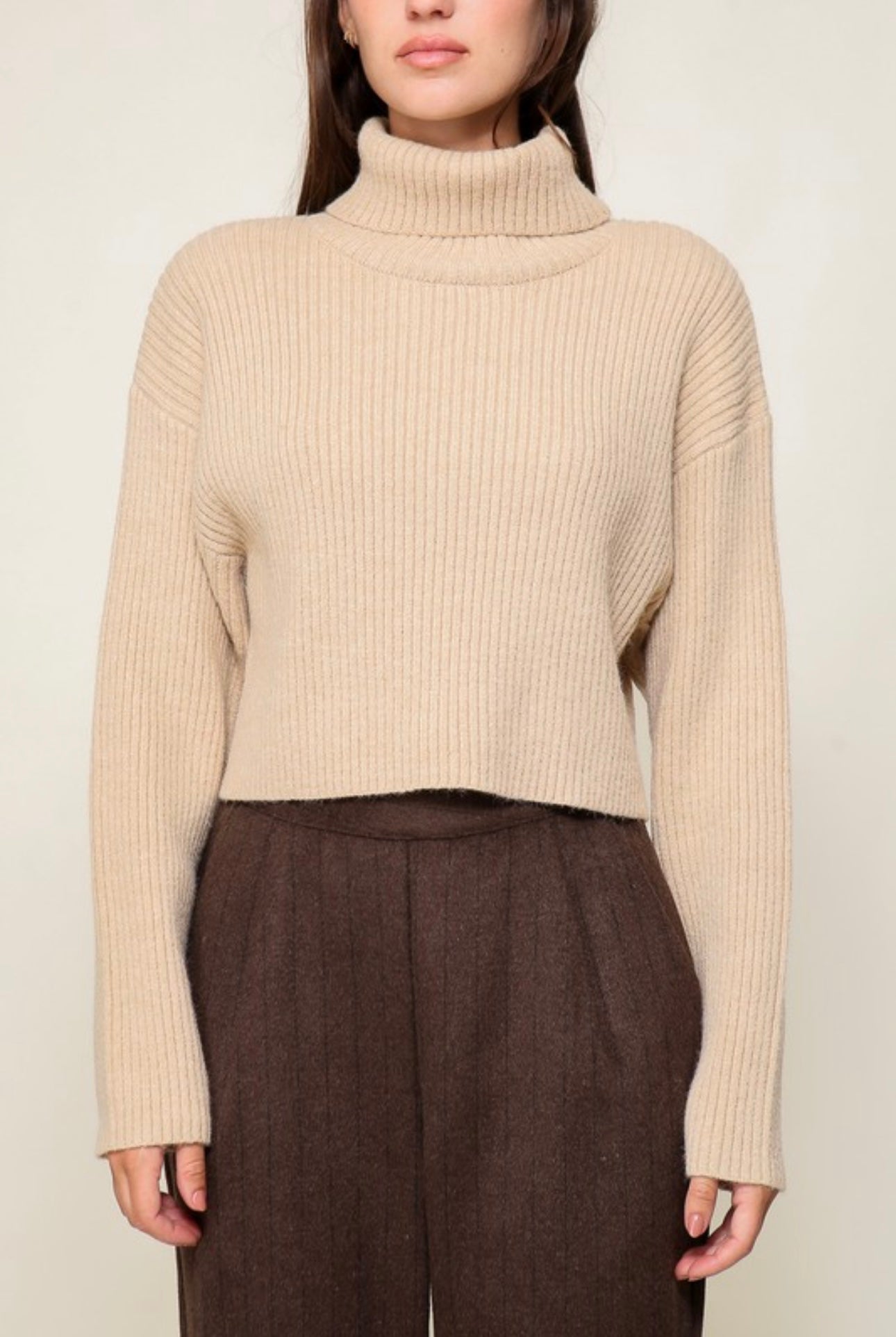 Turtle Neck Ribbed Sweater