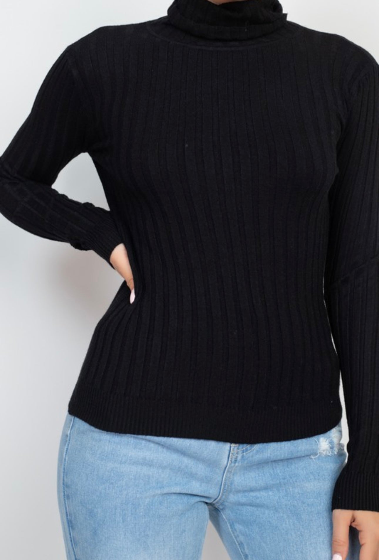 Long Sleeve Ribbed Turtle Neck