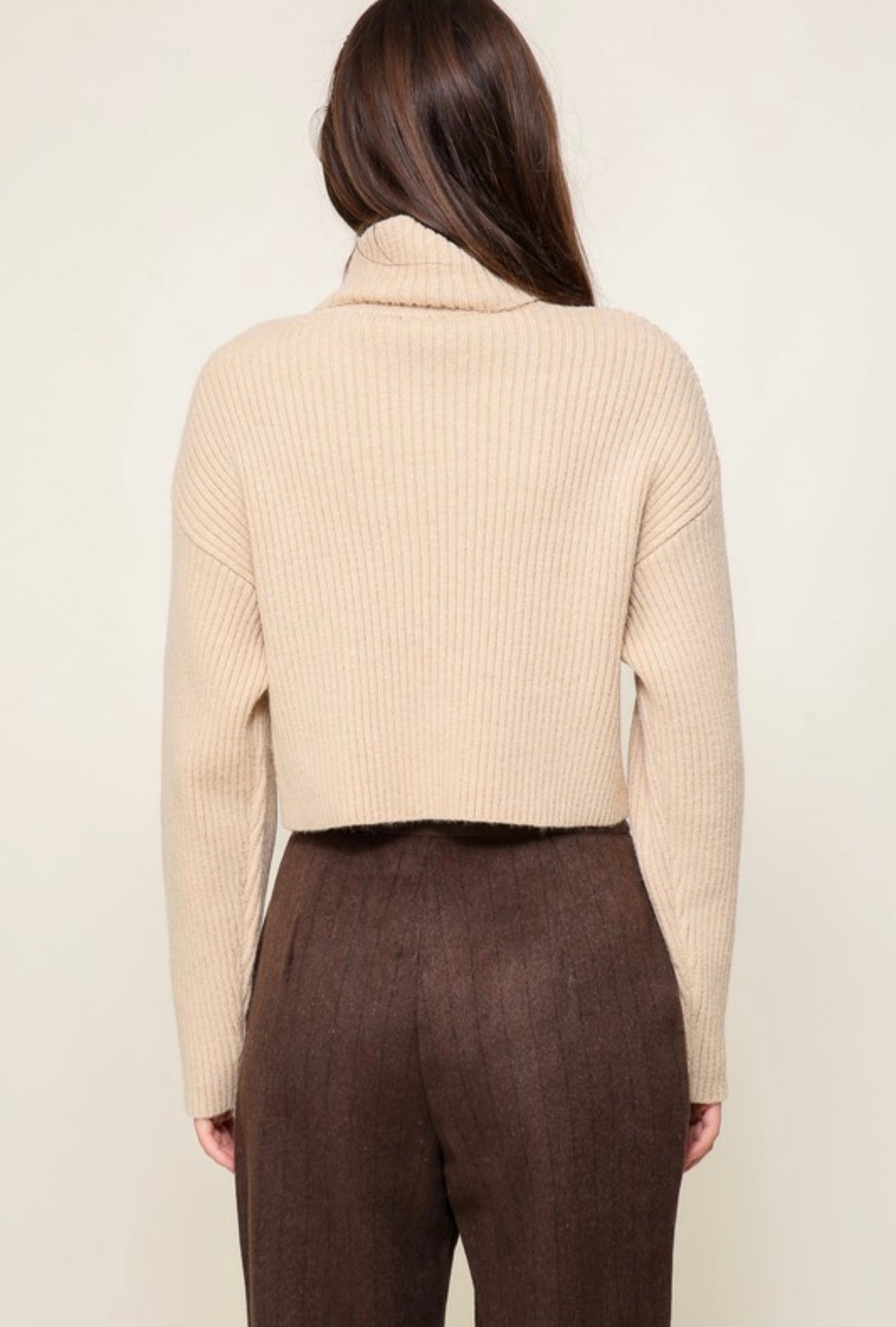 Turtle Neck Ribbed Sweater