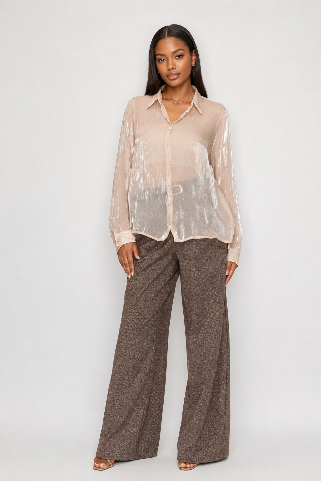 Shimmer Button Down Sheer Blouse