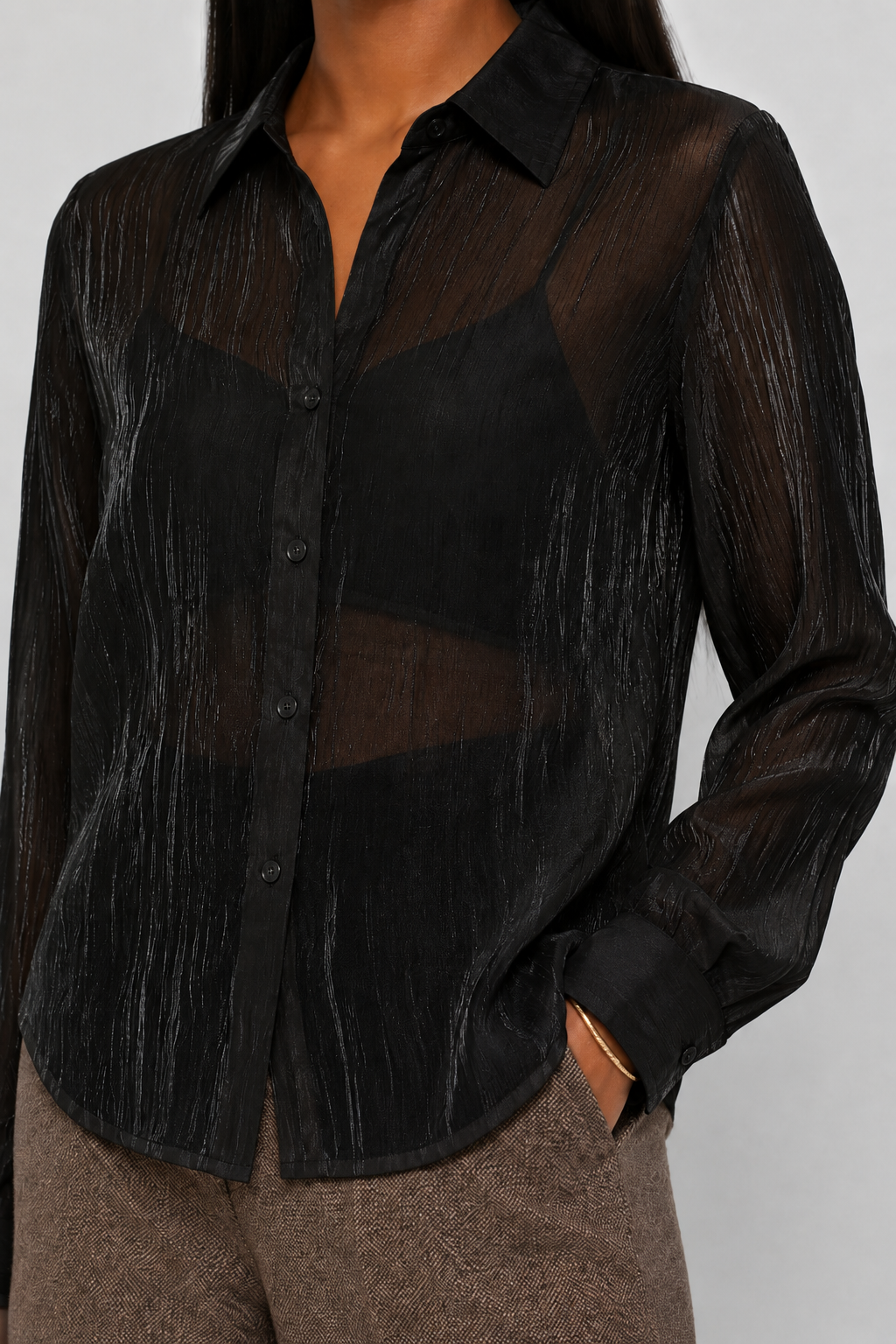 Shimmer Button Down Sheer Blouse