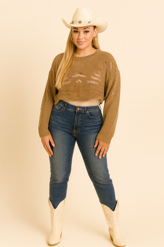 Long Sleeve Open Crop Crochet Pullover