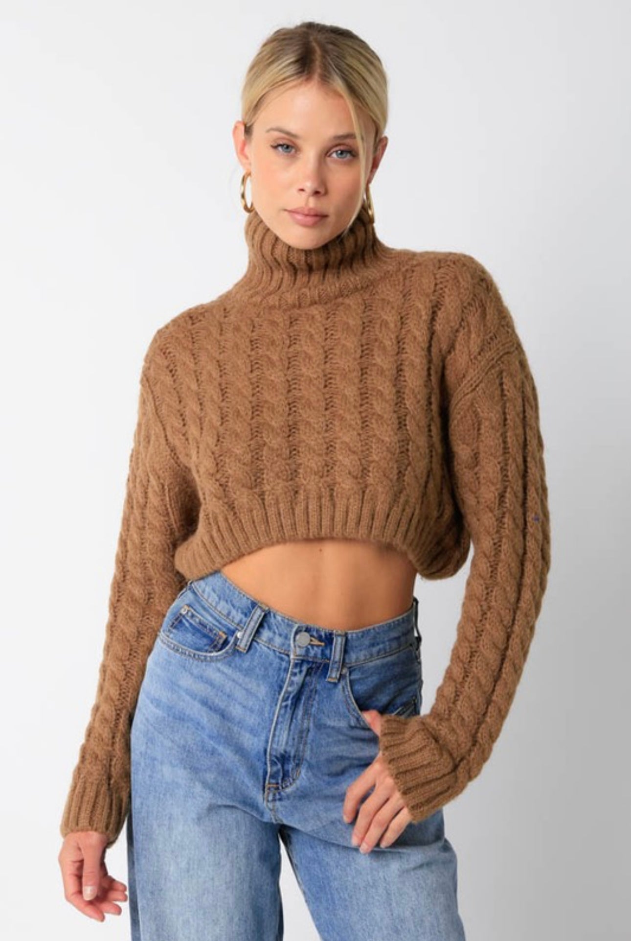 Ultra Crop Turtle Neck Heavy Cable Knit Sweater