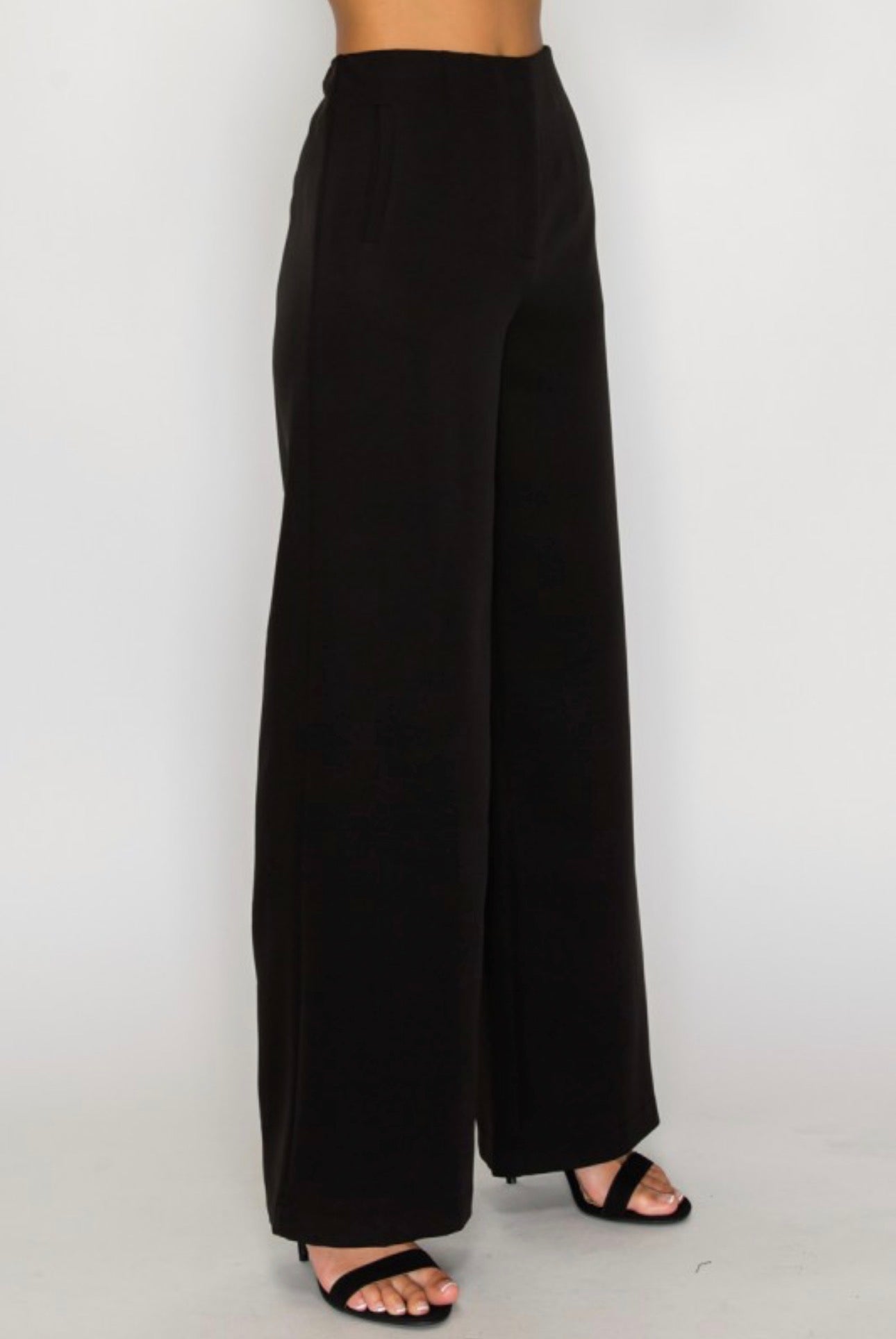 Wide Leg High Waisted Dress Pants