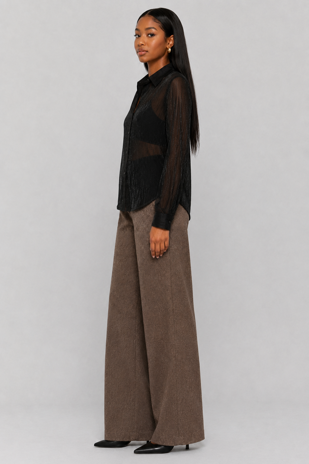 Shimmer Button Down Sheer Blouse