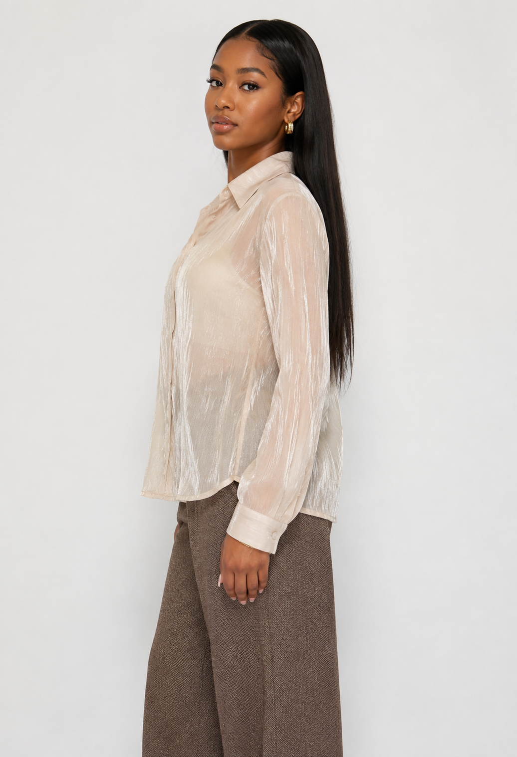 Shimmer Button Down Sheer Blouse