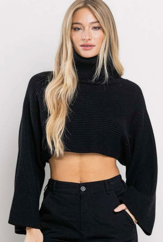 Ribbed Crop Turtleneck Sweater