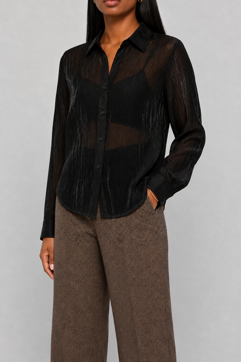 Shimmer Button Down Sheer Blouse