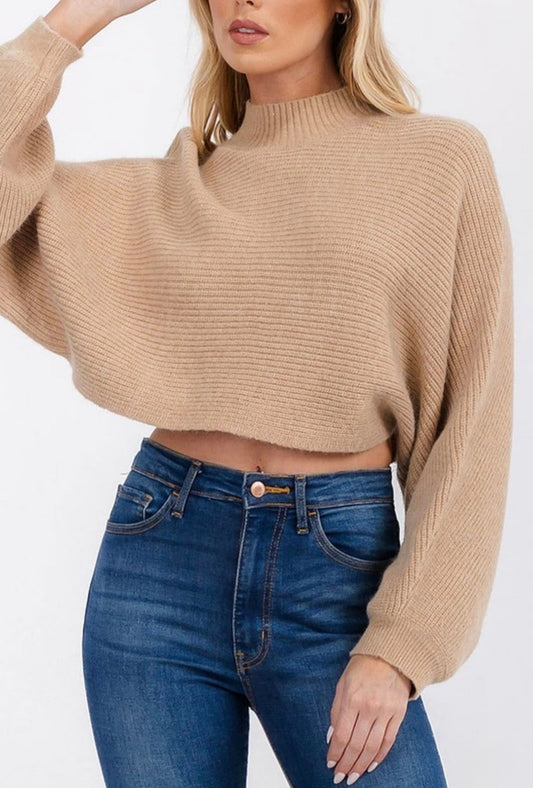 Cropped Knitted Turtleneck Sweater